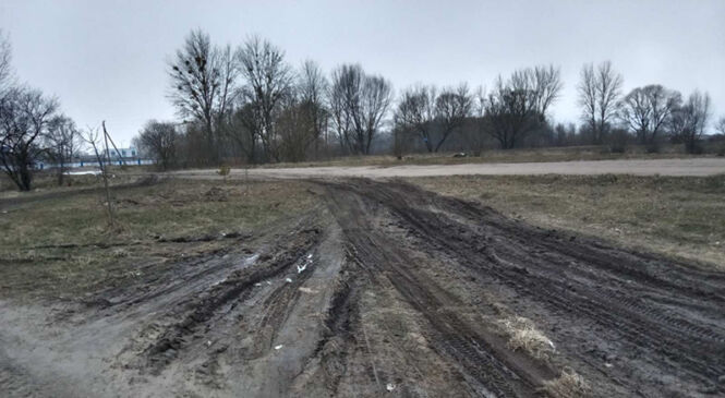 Фотафакт. Праблема на Вінаградава ў Пружанах — па «казіных сцяжынках» лепей?