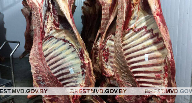 Жыхар Пружан выкраў больш за 100 кг мяса з аднаго з прадпрыемстваў раёна