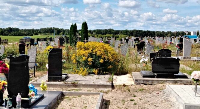 Недавний мониторинг, проведенный районной инспекцией природных ресурсов и охраны окружающей среды, в очередной раз показал, что проблема золотарника канадского остается актуальной