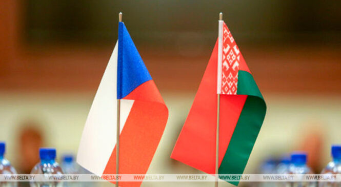 Александр Лукашенко выразил надежду, что Беларусь и Чехия в ближайшем будущем преодолеют существующую турбулентность