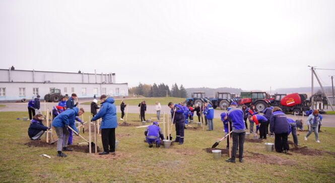 В филиале «Агроэнерго Зеленевичи» РУП «Брестэнерго» состоялась экологическая акция, приуроченная к 80-летию Победы в Великой Отечественной войне и Году благоустройства — был заложен яблоневый «Сад Победы» в деревне Зеленевичи