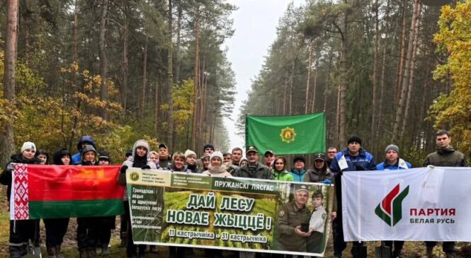 Зеленый памятник героям: в Красном появилась Аллея Памяти