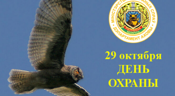 Уважаемые сотрудники, работники и ветераны Пружанского отдела Департамента охраны МВД Республики Беларусь!