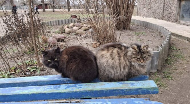 Важные изменения в сфере обращения с животными!