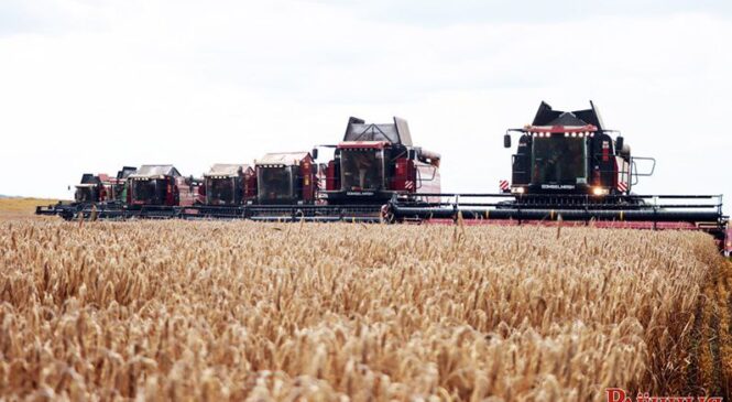 Уважаемые работники сельского хозяйства и перерабатывающей промышленности агропромышленного комплекса Пружанщины, ветераны отрасли! Примите искренние поздравления с профессиональным праздником!