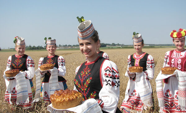 Пружанскія земляробы першымі ў рэспубліцы намалацілі сто тысяч тон збожжа!