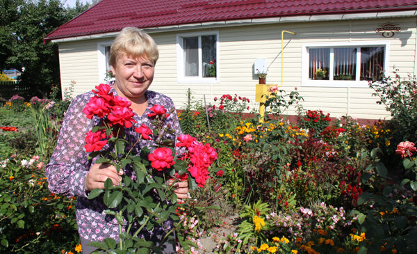 В Мокром учительница математики растит в школе ананас