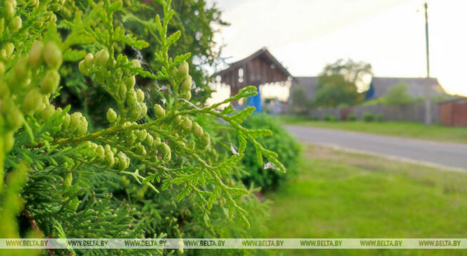 Пабудаваць прыватны жылы дом стане прасцей. Лукашэнка падпісаў адпаведны ўказ