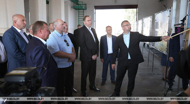 Лукашэнка даручыў прадумаць меры, каб зменшыць кошт лесу для будаўніцтва дамоў