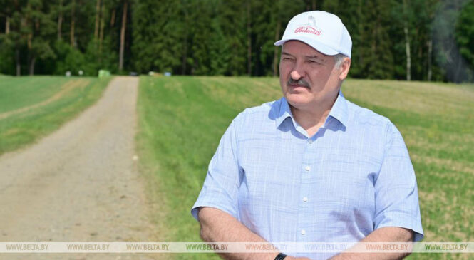 Пераломны момант у сельскай гаспадарцы. Якой сельгаскультуры Лукашэнка ўдзяляе асаблівую ўвагу
