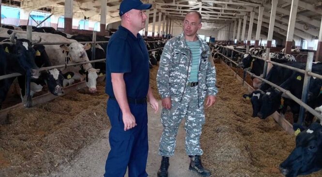 Надзорно-аналитические мероприятия по вопросам соблюдения сельскохозяйственными организациями требований законодательства при выращивании крупного рогатого скота