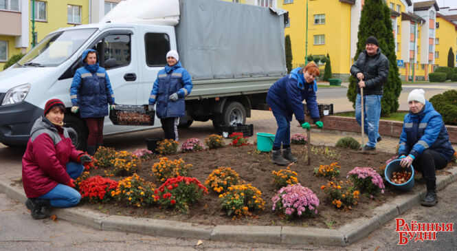 Высаджваюць цюльпаны і думаюць пра навагодні сезон работнікі «Камунальніка»