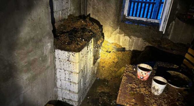 У Калядзічах у нядзелю гарэла гаспадарчая пабудова