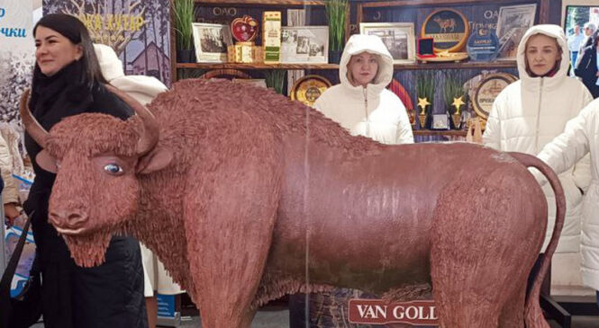 Першы рэгіён – па справах першы. Брэсцкая вобласць адзначыла 85-годдзе (+фота)