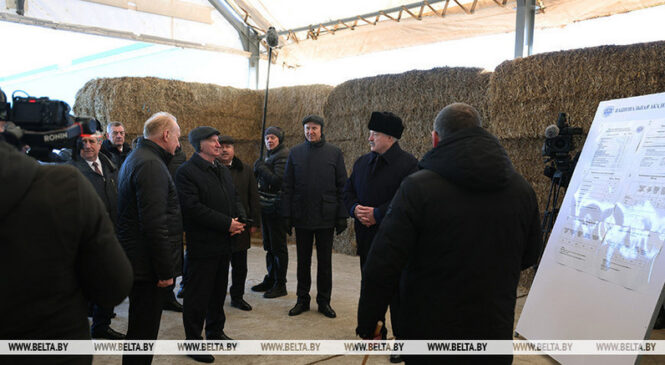 Александр Лукашенко: этот год и пятилетка не просто о качестве, а о железной исполнительской дисциплине