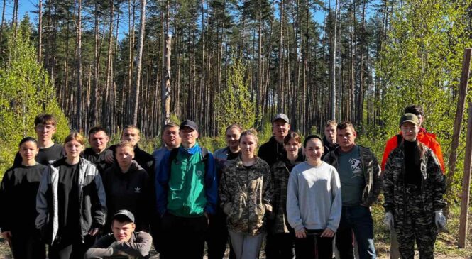 Добро пожаловать в студотряд!