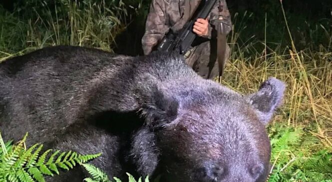 «Трафей кліча»