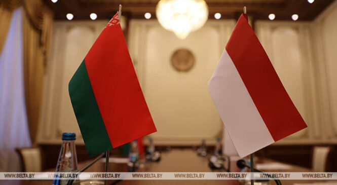 Рыженков 5-7 августа с визитом посетит Республику Индонезия