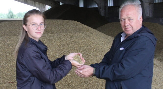 Хлеб ужо ў засеках!