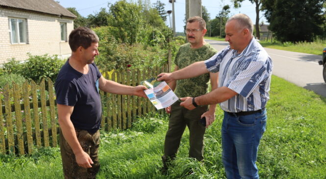 Дзе няма гаспадароў – ёсць залатарнік канадскі