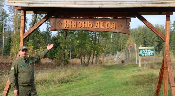 У Бярозаўскім лясніцтве Пружанскага лясгаса з’явілася новая прыродная адметнасць — экалагічная сцежка пад назвай «Жыццё лесу» працягласцю 1700 метраў