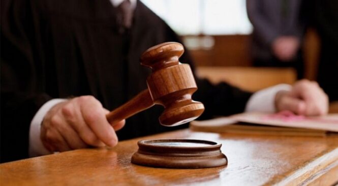 Лёгкі заробак… на 15 гадоў пазбаўлення волі