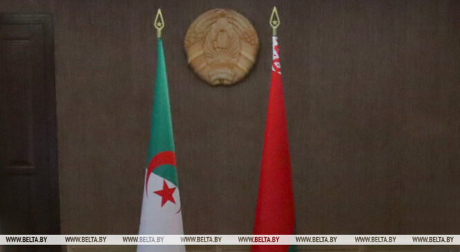 Александр Лукашенко уверен, что Беларусь и Алжир могут вывести взаимодействие на новый стратегический уровень
