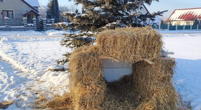 Соломенный домик для аиста