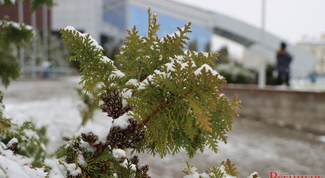 15 января: народные приметы и традиции, что нельзя и можно делать.  В народе принято отмечать Сильвестров день