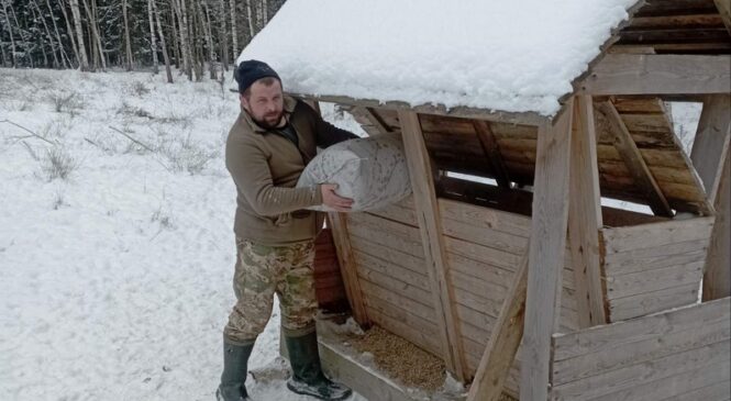 Зимняя забота о лесных жителях