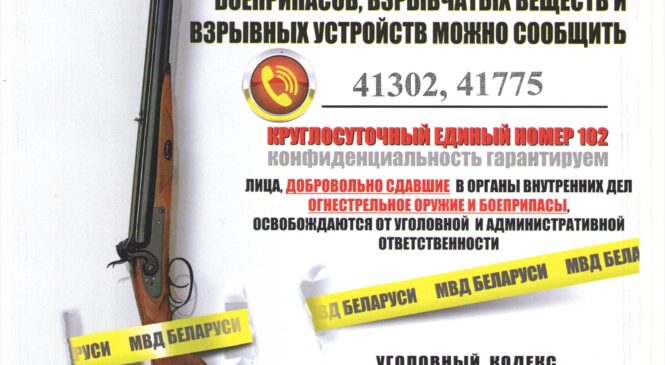 Профилактика правонарушений в сфере оборота оружия