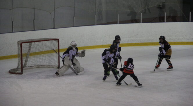 В Ледовом дворце г. Пружаны в рамках республиканских соревнований по хоккею с шайбой состоялись две встречи между командами «Пружаны-2014» и «Ивацевичи-2015»