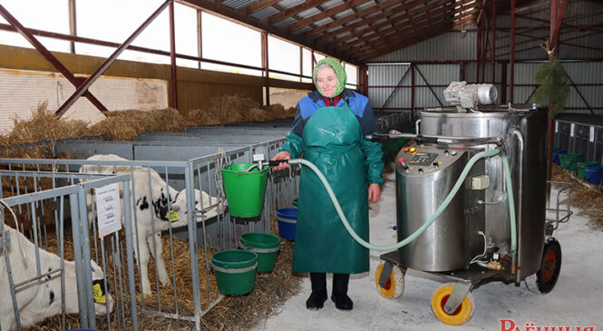 Што робяць жывёлаводы ААТ «Мурава» для захавання статку і маладняку ў неспрыяльных умовах