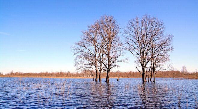 Как пережить наступление весны: правила безопасности при паводке