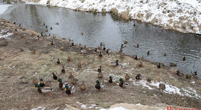 Когда помощь на пользу
