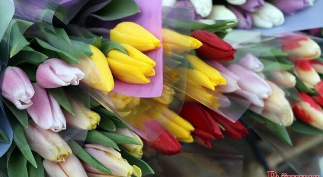 Накануне женского праздника инспекция Министерства по налогам и сборам по Пружанскому району информирует о правилах торговли цветами и другой продукцией цветоводства