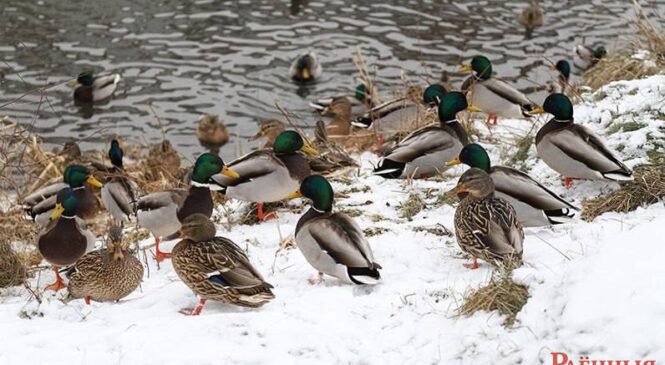 Гороскоп на 19 февраля