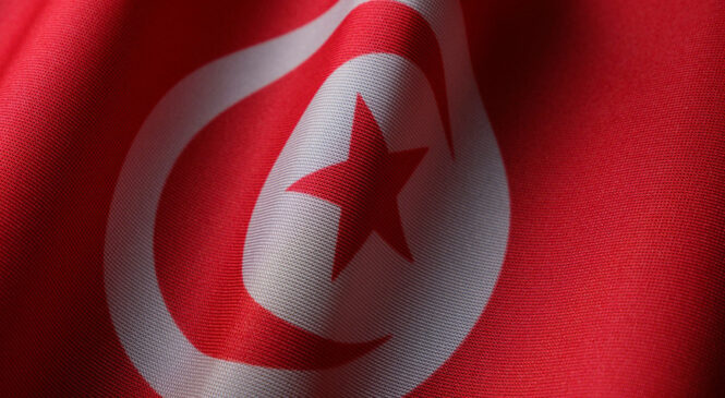 Александр Лукашенко рассчитывает на дополнительный импульс в белорусско-тунисском диалоге