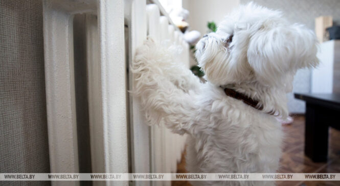 Когда отключают отопление? Сроки и условия разъяснили в «Белэнерго»