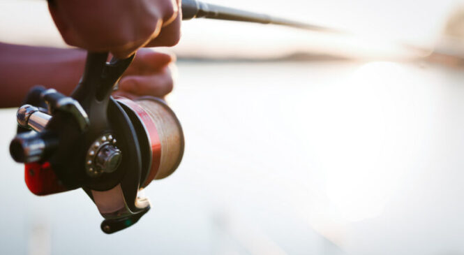 «НЕТ, незаконной рыбалке!»