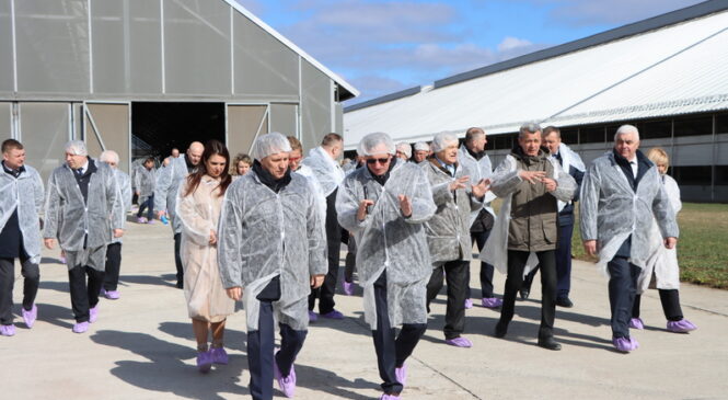 Пружанский район стал площадкой для проведения важного семинар-совещания. В центре внимания участников — новые правила экстренного убоя КРС, утвержденные постановлением Минсельхозпрода №108 от 11 октября 2024 года