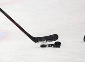 «Пружанские киты» в рамках любительской лиги Брестской области по хоккею с шайбой провели свой первый четвертьфинальный матч против ХК «Секачи» (г. Береза)