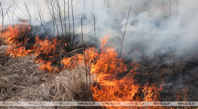 Весенние палы
