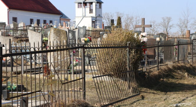 По правилам и по совести