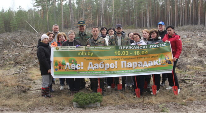 В Беларуси с 16 марта стартовала республиканская акция «Лес! Дабро! Парадак!», которая продлится по 18 апреля 2026 года