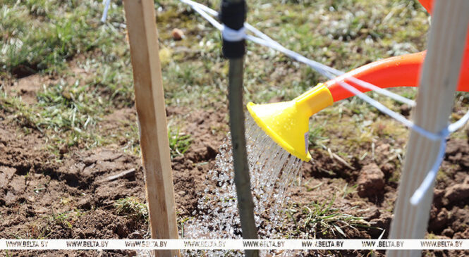 Республиканский субботник пройдет в Беларуси 18 апреля